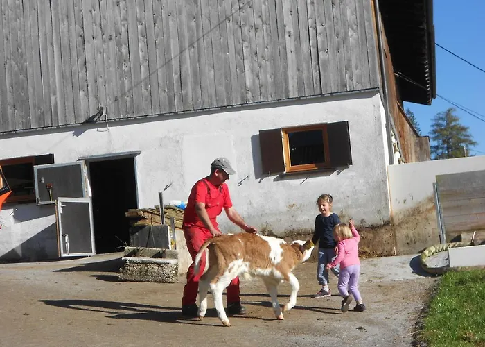 Haus Panorama Nocleg ze śniadaniem Steinberg am Rofan