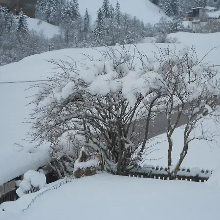 Haus Panorama Bed & Breakfast 3*