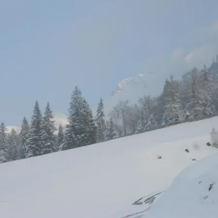 Nocleg ze śniadaniem Haus Panorama Steinberg am Rofan
