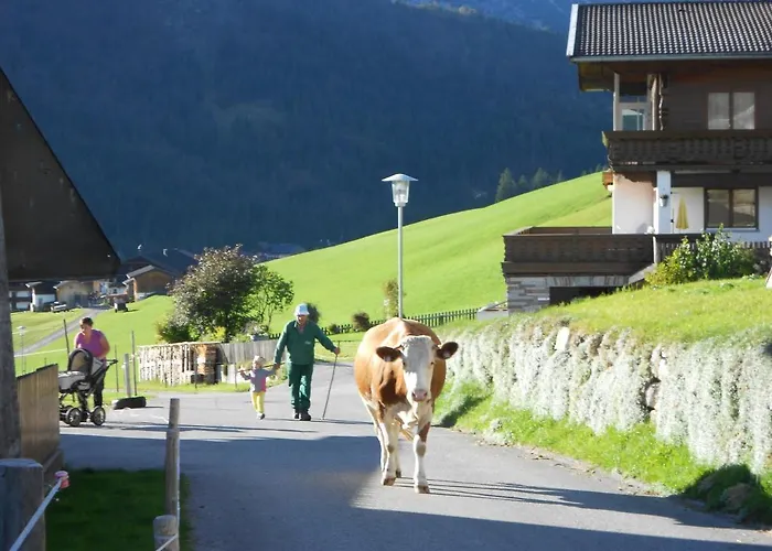 Bed & Breakfast Haus Panorama