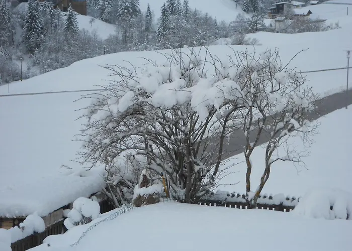 Haus Panorama Bed & Breakfast 3*