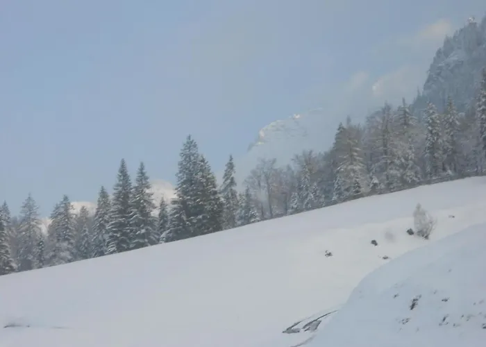 Bed & Breakfast Haus Panorama Steinberg am Rofan